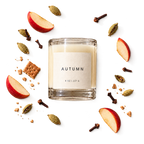 Lije Autumn scent profile on warm cream