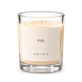 Lije Fig — clear vessel, front view, transparent background